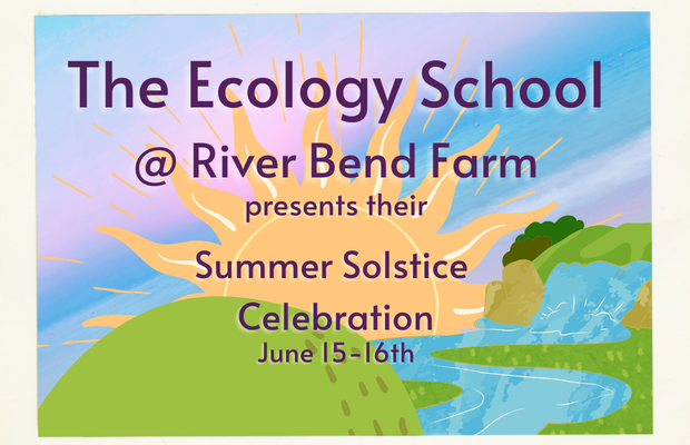 A Sustainable Summer Solstice Celebration