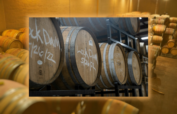 January's Taste of Allagash: The Origin Tour