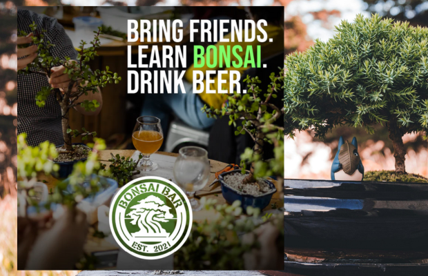 Bonsai Workshop at Freedom's Edge Cider