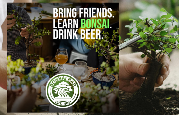 Bonsai Workshop at Portland Beer Hub