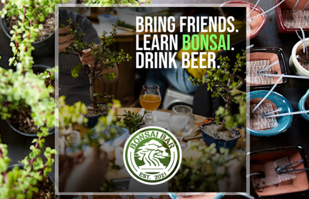 Bonsai Workshop at Definitive Brewing Company