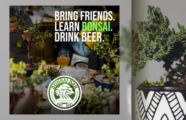 Bonsai Workshop at Apres
