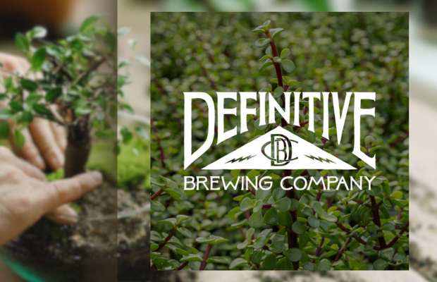 Bonsai Workshop at Definitive Brewing Company