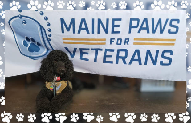 Maine Paws for Veterans