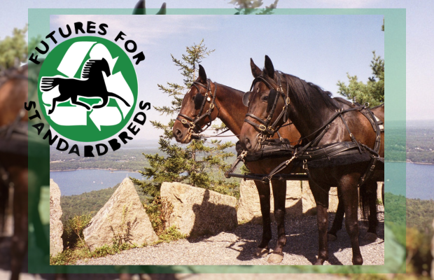 Futures For Standardbreds Fundraiser at Funky Bow