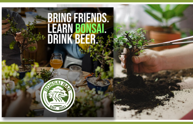 Bonsai Workshop at Apres