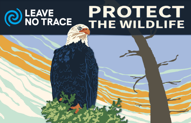 Leave No Trace Trivia Night at Mast Landing Brewing Co.